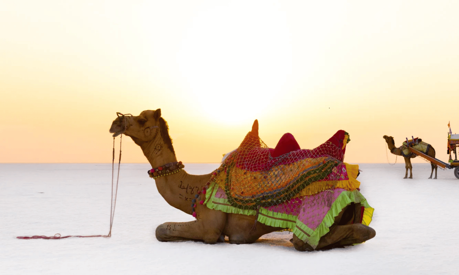 Kutch tour package from Jamnagar